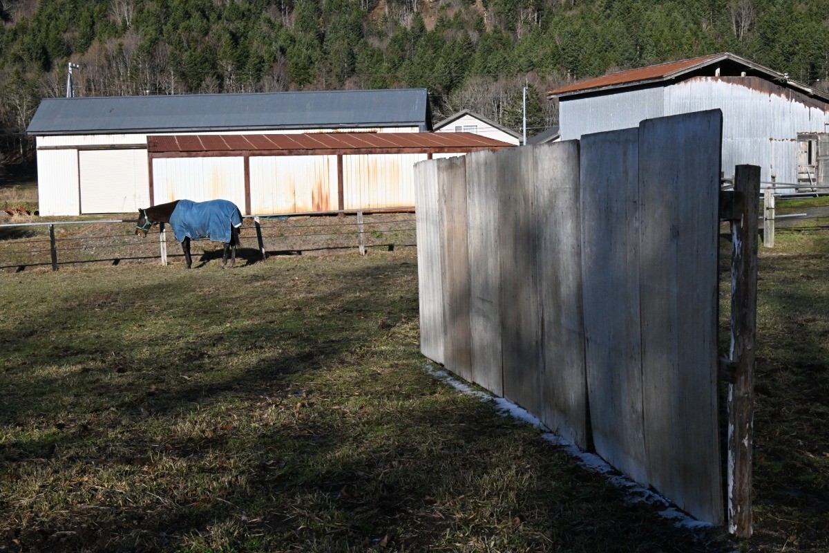 9f26ee512eedd3bdbe396a9547301676-1765807188.jpg 9f26ee512eedd3bdbe396a9547301676-1765807188.jpg